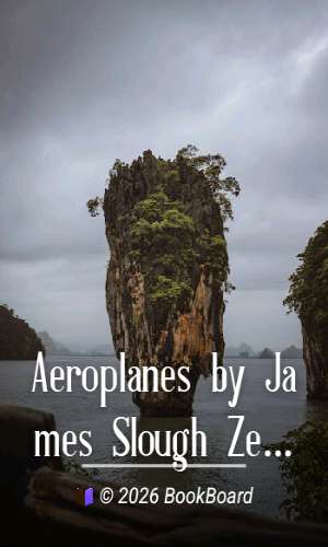 Aeroplanes by James Slough Zerbe