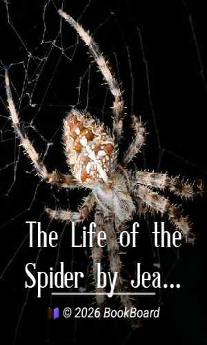 The Life of the Spider by Jean-Henri Fabre
