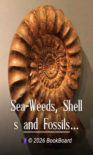 Sea-Weeds, Shells and Fossils by Peter Gray and B. B. Woodward