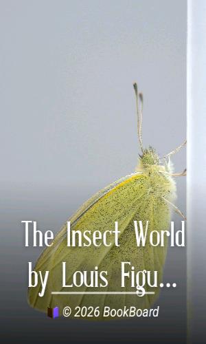 The Insect World by Louis Figuier