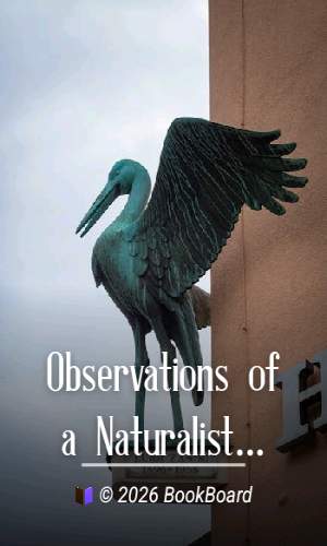 Observations of a Naturalist in the Pacific Between 1896 and 1899, Volume 2