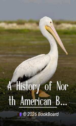 A History of North American Birds; Land Birds; Vol. 2 of 3 by Baird et al.