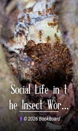 Social Life in the Insect World by Jean-Henri Fabre
