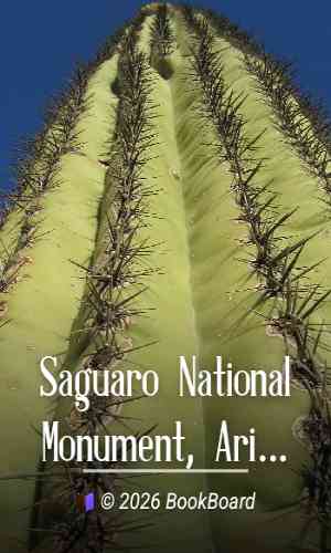 Saguaro National Monument, Arizona by Napier Shelton and Natt N. Dodge
