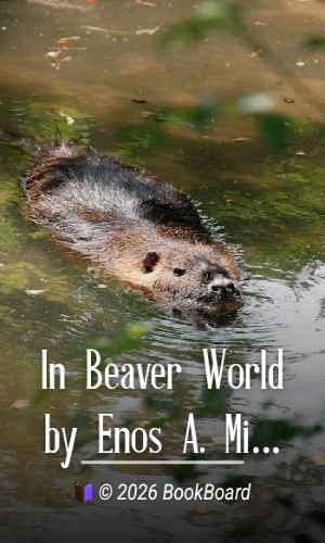 In Beaver World by Enos A. Mills