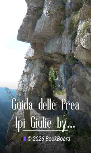 Guida delle Prealpi Giulie by Olinto Marinelli