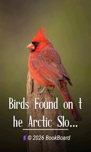 Birds Found on the Arctic Slope of Northern Alaska by James W. Bee