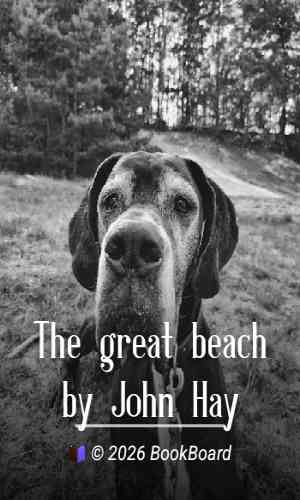 The great beach by John Hay