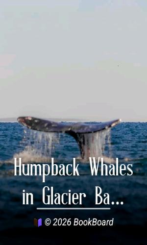 Humpback Whales in Glacier Bay National Monument, Alaska