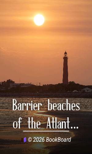 Barrier beaches of the Atlantic coast by Frederick J. H. Merrill