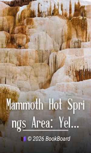 Mammoth Hot Springs Area: Yellowstone National Park by Anonymous