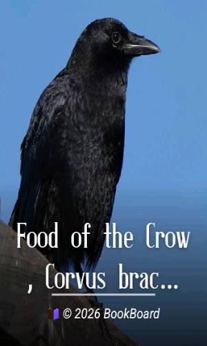 Food of the Crow, Corvus brachyrhynchos Brehm, in South-central Kansas by Platt