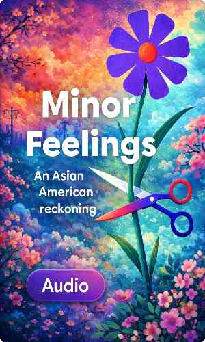 Minor Feelings Audio