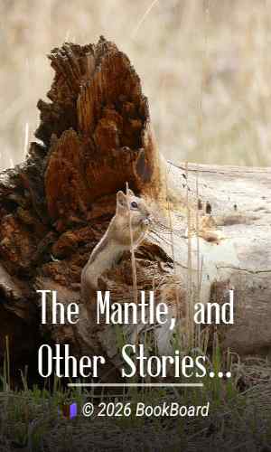 The Mantle, and Other Stories by Nikolai Vasilevich Gogol
