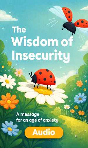 The Wisdom of Insecurity Audio