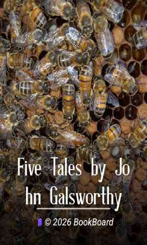 Five Tales by John Galsworthy