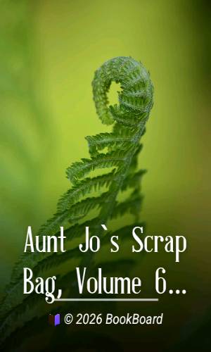 Aunt Jo`s Scrap Bag, Volume 6 by Louisa May Alcott