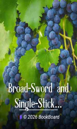 Broad-Sword and Single-Stick by Headley and Phillipps-Wolley